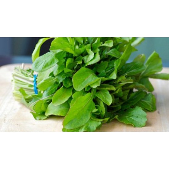 بذور الجرجير - Eruca vesicaria ssp. sativa بذور الجرجير - Eruca vesicaria ssp. sativa