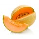 بذور شمام - Cucumis melo var. cantalupensis بذور شمام - Cucumis melo var. cantalupensis