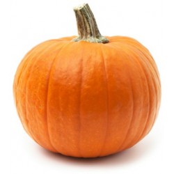 بذور القرع (Cucurbita pepo) بذور القرع (Cucurbita pepo)