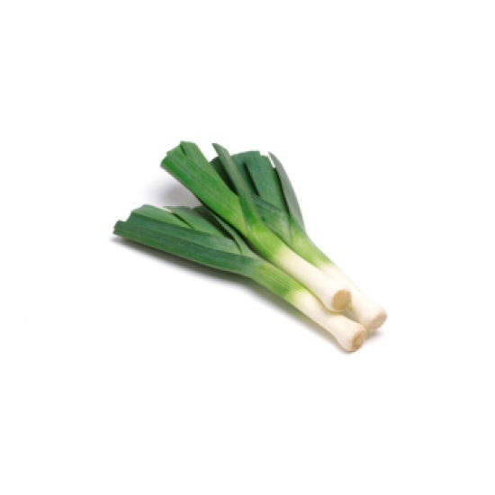 بذور البصل الأخضر - Allium cepa بذور البصل الأخضر - Allium cepa