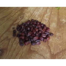 بذور الجوجوبا - Simmondsia chinensis بذور الجوجوبا - Simmondsia chinensis