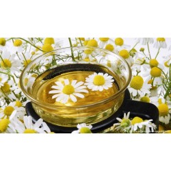 بذور عشبة البابونج - Camomile بذور عشبة البابونج - Camomile