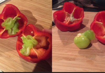 pepper baby-ظاهرة طفل الفلفل