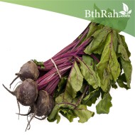 بذور البنجر أو الشمندر-Beta vulgaris بذور البنجر أو الشمندر-Beta vulgaris