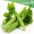 بذور نبات الكرفس-Celery