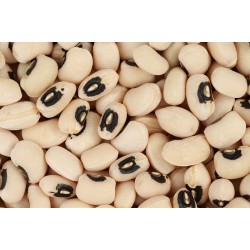بذور نبات اللوبيا-Vigna unguiculata  بذور نبات اللوبيا-Vigna unguiculata