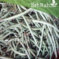 بذور نبات اللوبيا-Vigna unguiculata  بذور نبات اللوبيا-Vigna unguiculata