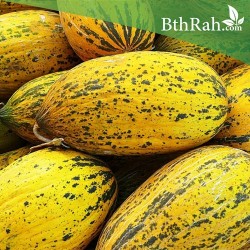 بذور شمام روسي بذور شمام روسي