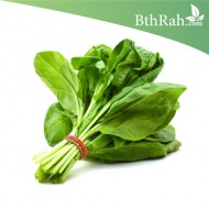 بذور السبانخ - Spinacia oleracea بذور السبانخ - Spinacia oleracea