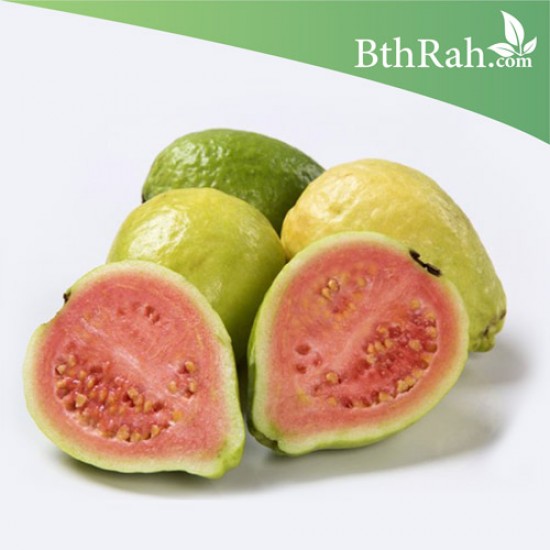 بذور الجوافة الحمراء - Psidium guajava بذور الجوافة الحمراء - Psidium guajava