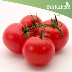 بذور الطماطم - Solanum lycopersicum بذور الطماطم - Solanum lycopersicum