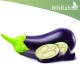 بذور الباذنجان - Solanum melongena بذور الباذنجان - Solanum melongena