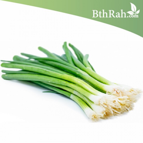 بذور البصل الأخضر - Allium cepa بذور البصل الأخضر - Allium cepa