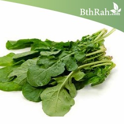 بذور الجرجير - Eruca vesicaria ssp. sativa بذور الجرجير - Eruca vesicaria ssp. sativa