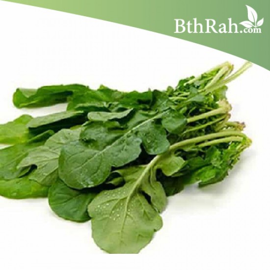 بذور الجرجير - Eruca vesicaria ssp. sativa بذور الجرجير - Eruca vesicaria ssp. sativa