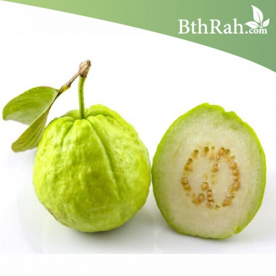 بذور الجوافة ( Psidium guajava ) بذور الجوافة ( Psidium guajava )