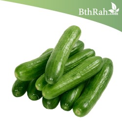 بذور الخيار - Cucumis sativus بذور الخيار - Cucumis sativus