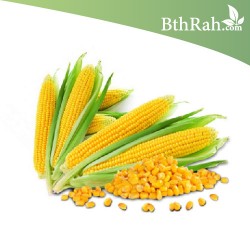 بذور الذرة الجيزانية - Zea mays بذور الذرة الجيزانية - Zea mays