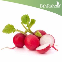 بذور الفجل لب ابيض - White Radish بذور الفجل لب ابيض - White Radish