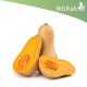 بذور القرع (Cucurbita pepo) بذور القرع (Cucurbita pepo)
