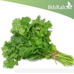 بذور الكزبرة (Coriandrum sativum) بذور الكزبرة (Coriandrum sativum)