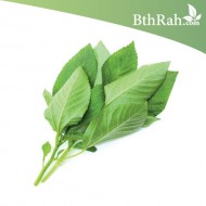 بذور الملوخية (Corchorus olitorius) بذور الملوخية (Corchorus olitorius)