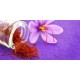 بصيلات الزعفران - Crocus sativus بصيلات الزعفران - Crocus sativus