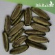 بذور شجرة البونسيانا الحمراء - Delonix regia بذور شجرة البونسيانا الحمراء - Delonix regia
