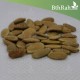 بذور شجرة البلتفورم - Peltophorum Pterocarpum بذور شجرة البلتفورم - Peltophorum Pterocarpum