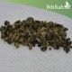 بذور شجرة تمر حنا - Lagerstroemia indica بذور شجرة تمر حنا - Lagerstroemia indica