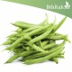 بذور الفاصولياء - Phaseolus بذور الفاصولياء - Phaseolus