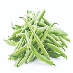 بذور الفاصولياء - Phaseolus بذور الفاصولياء - Phaseolus