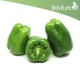 بذور فلفل رومي - Capsicum annuum بذور فلفل رومي - Capsicum annuum