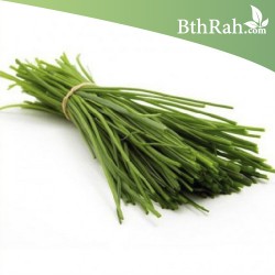 بذور كراث - Allium ampeloprasum var. porrum