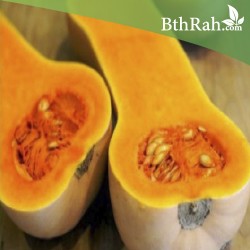 بذور قرع امريكي - Cucurbita pepo بذور قرع امريكي - Cucurbita pepo