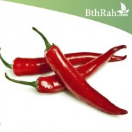 بذور فلفل حار - Capsicum annuum بذور فلفل حار - Capsicum annuum