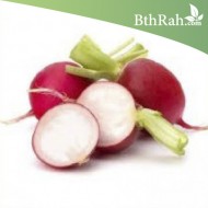 بذور فجل احمر - Raphanus raphanistrum subsp. sativus بذور فجل احمر - Raphanus raphanistrum subsp. sativus