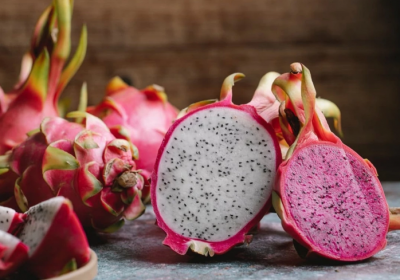 زراعة فاكهة التنين