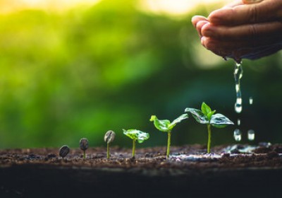 حموضة التربة وأهميتها