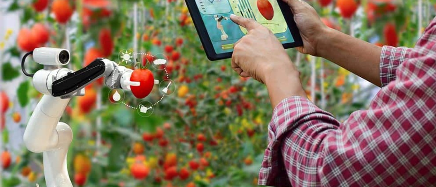 زراعة المستقبل: التطور التكنولوجي والمحاصيل الذكية