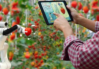 زراعة المستقبل: التطور التكنولوجي والمحاصيل الذكية زراعة المستقبل: التطور التكنولوجي والمحاصيل الذكية