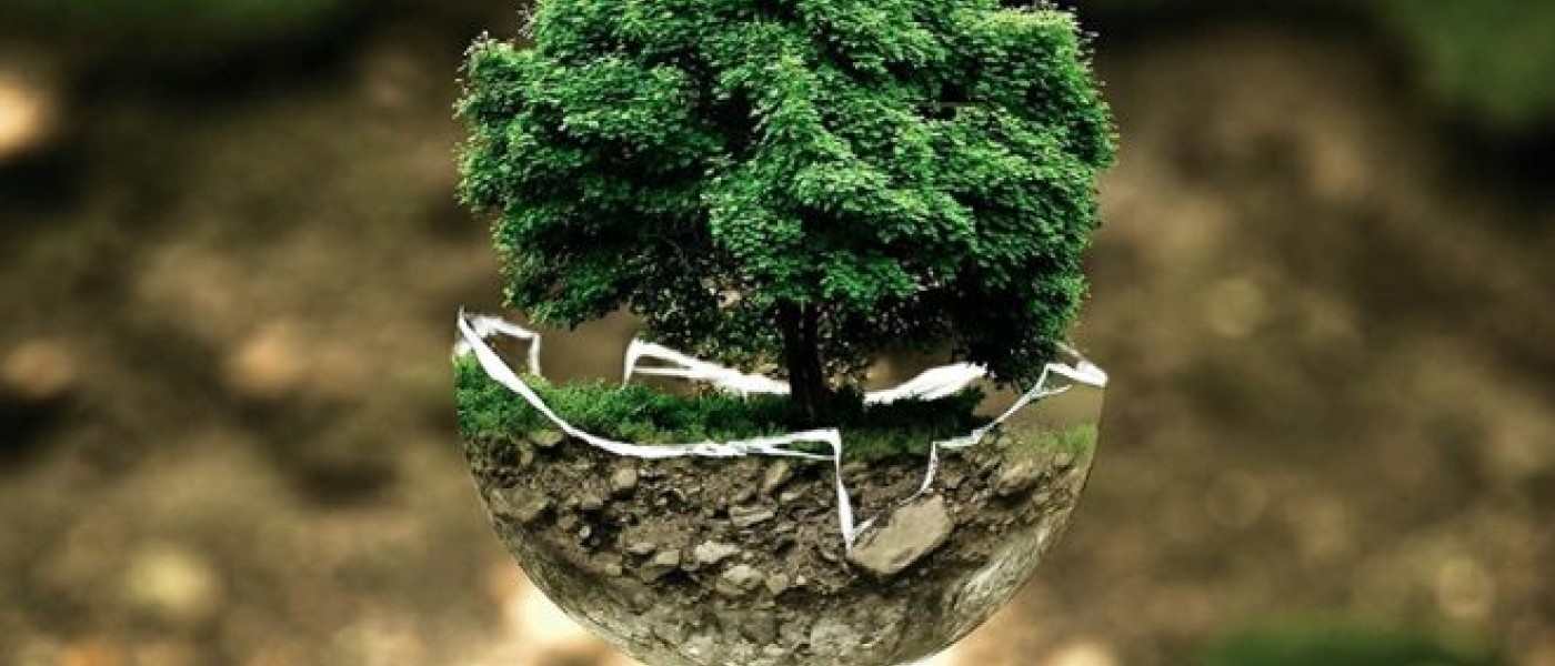 الغطاء النباتي وأهميته في حماية البيئة والحفاظ على التوازن البيولوجي