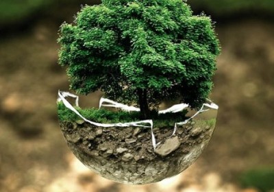 الغطاء النباتي وأهميته في حماية البيئة والحفاظ على التوازن البيولوجي الغطاء النباتي وأهميته في حماية البيئة والحفاظ على التوازن البيولوجي