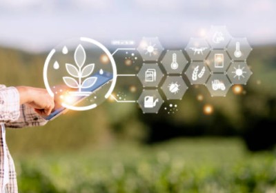 الابتكار في الزراعة: كيف يمكن للتكنولوجيا تحويل مستقبل الزراعة؟