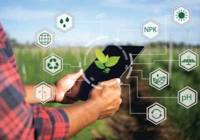 الزراعة الدقيقة: كيف يمكن أن تحدث التكنولوجيا تحولًا في إدارة المزارع وزيادة الإنتاجية؟