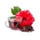 بذور شجيرة الكركديه “الهيبسكوس” Hibiscus sabdariffa بذور شجيرة الكركديه “الهيبسكوس” Hibiscus sabdariffa
