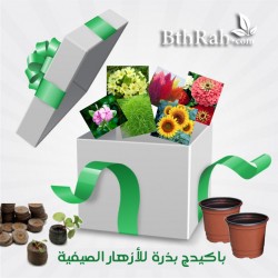 باكيدج بذرة للأزهار الصيفية باكيدج بذرة للأزهار الصيفية