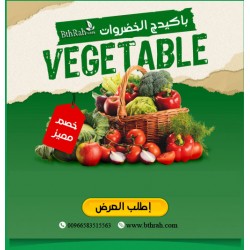 باكيدج بذرة للخضروات الصيفية باكيدج بذرة للخضروات الصيفية