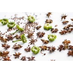 بذور اليانسون Pimpinella anisum بذور اليانسون Pimpinella anisum