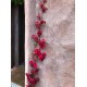 بذور متسلقة فرجينيا - Parthenocissus quinquefolia بذور متسلقة فرجينيا - Parthenocissus quinquefolia